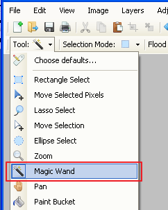 paint.net magic lasso